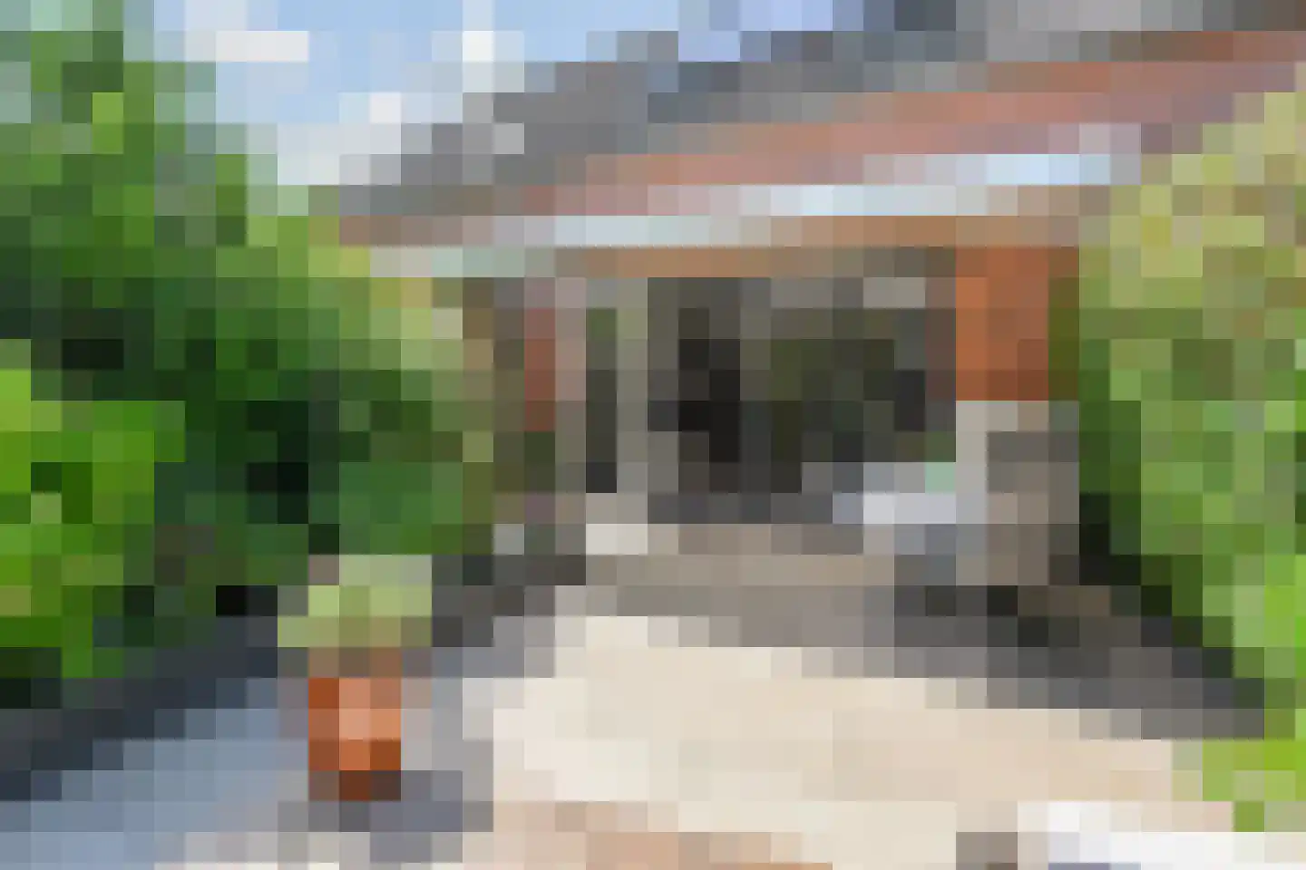 Spica 17 Waddinxveen thumbnail 32