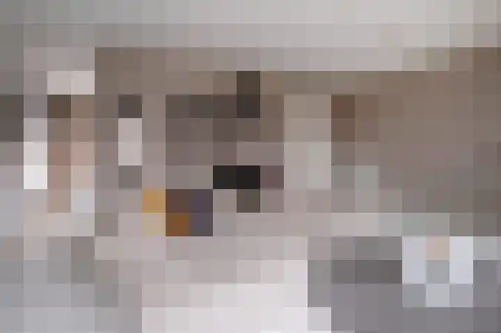 Spicastraat 144 Groningen thumbnail 12