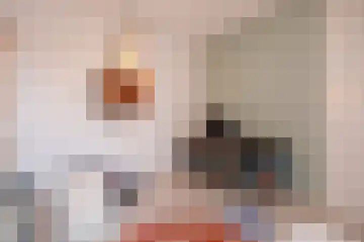 Spicastraat 144 Groningen thumbnail 30