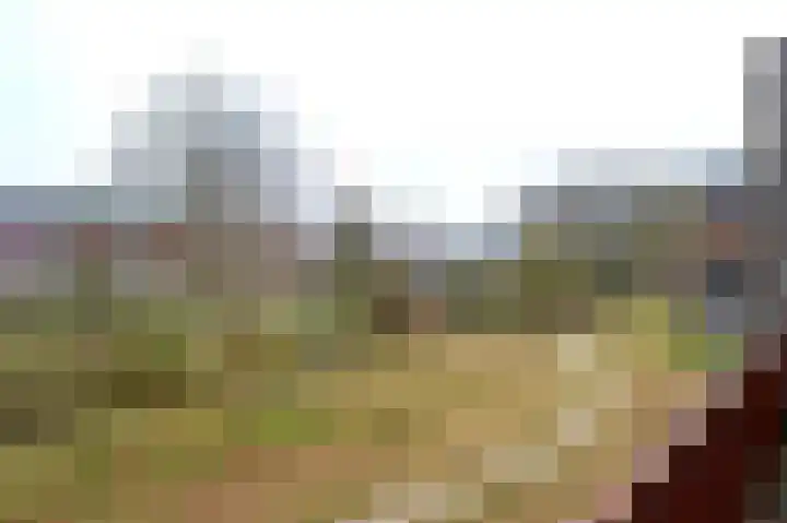 Spicastraat 144 Groningen thumbnail 33