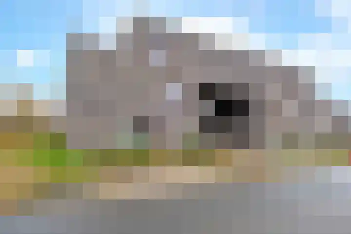 Spicastraat 144 Groningen thumbnail 39