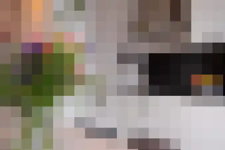 Spicastraat 144 Groningen thumbnail 8