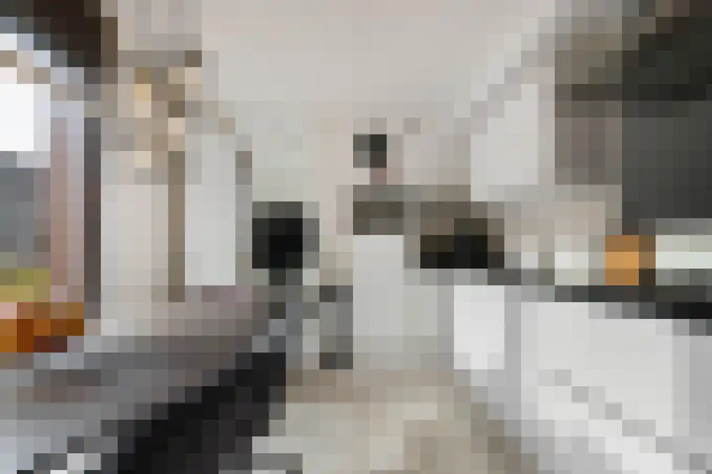 Spicastraat 172 Groningen thumbnail 10