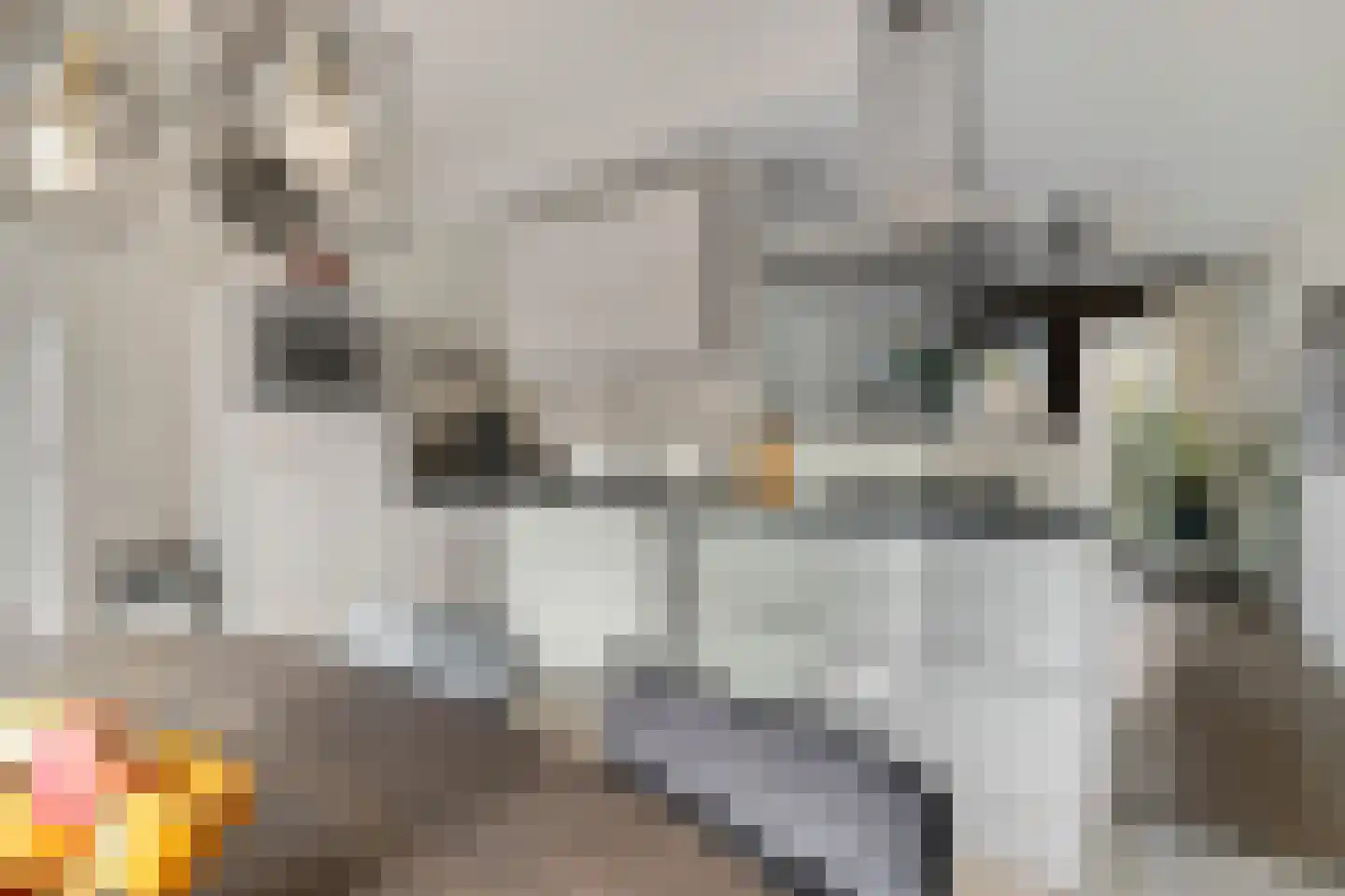 Spicastraat 172 Groningen thumbnail 11