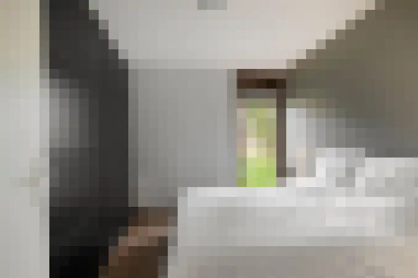 Spicastraat 172 Groningen thumbnail 20