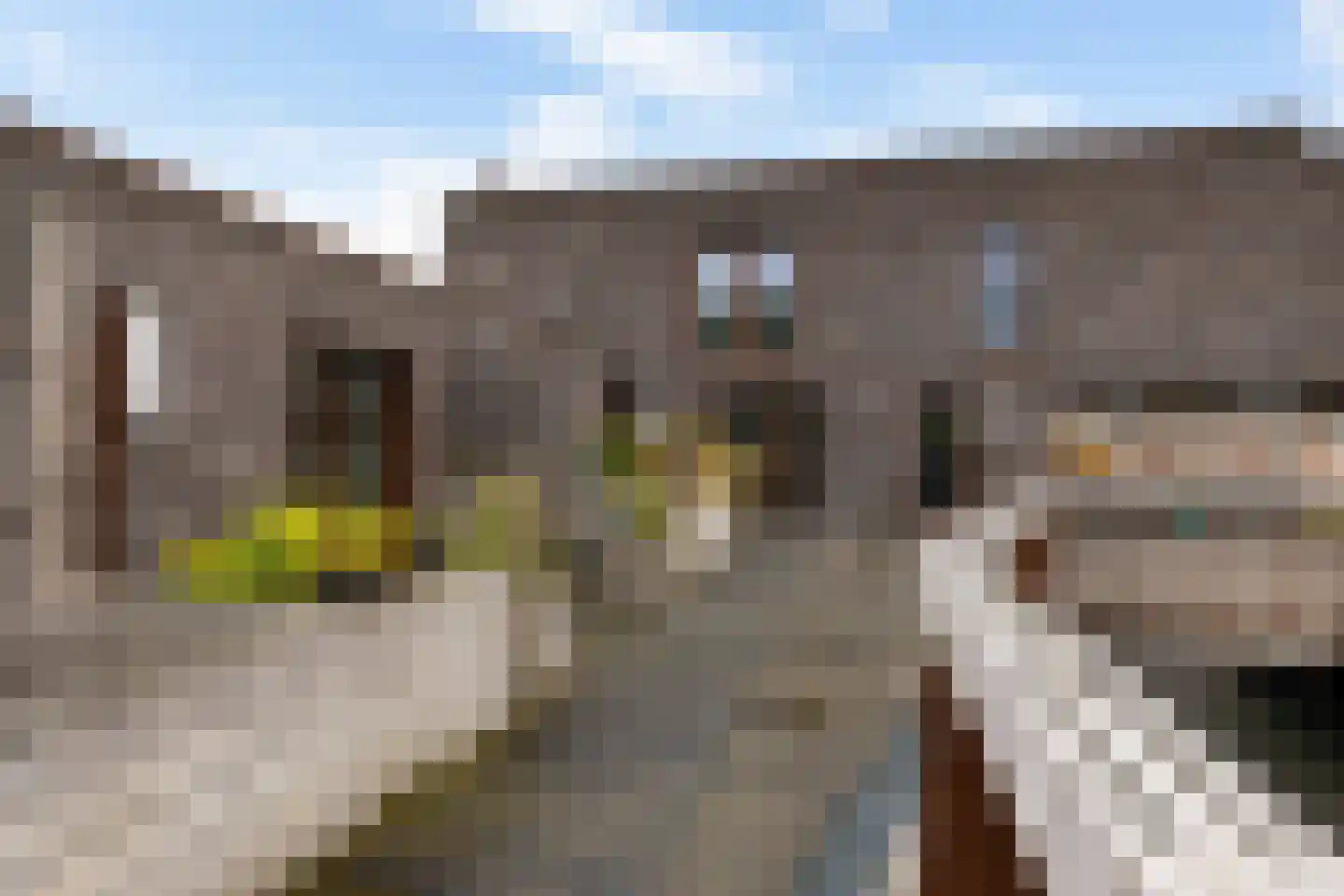Spicastraat 172 Groningen thumbnail 34