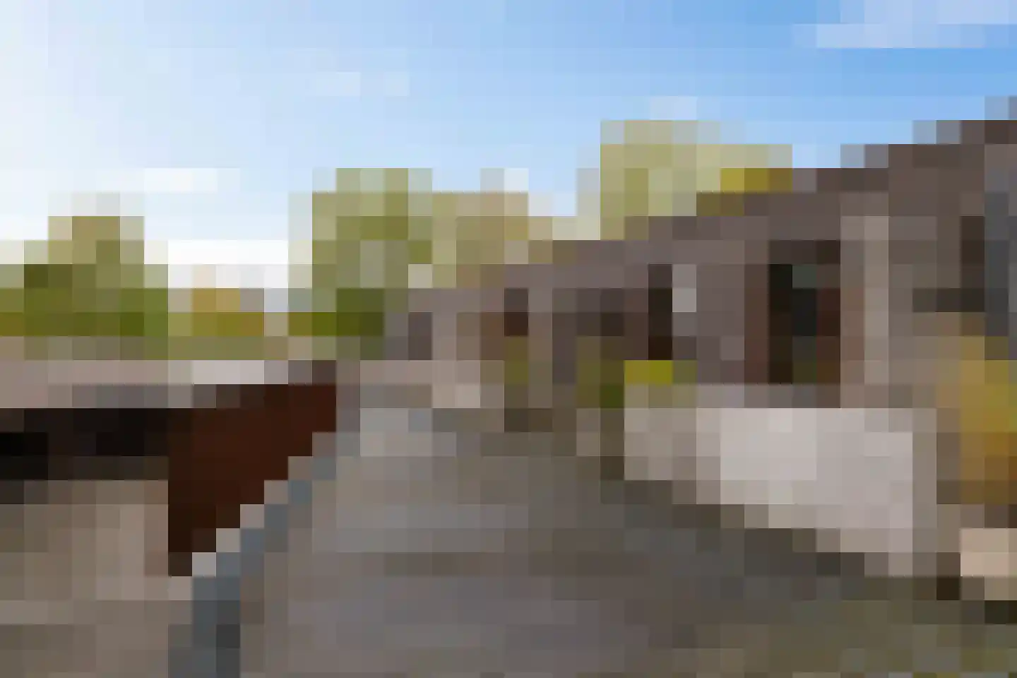 Spicastraat 172 Groningen thumbnail 35