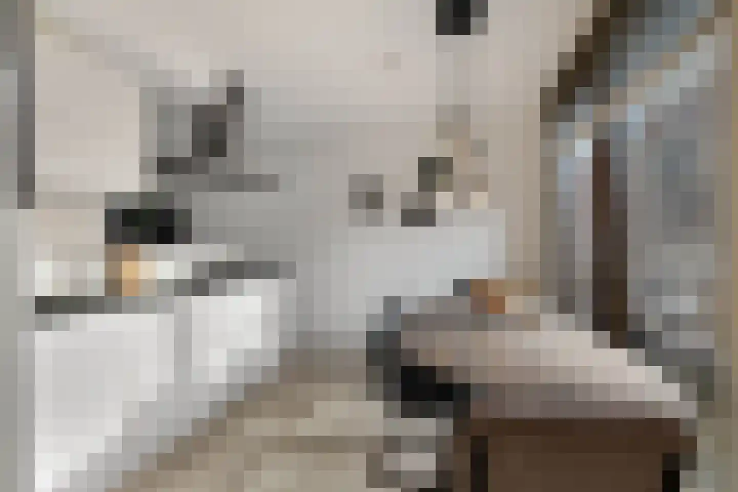 Spicastraat 172 Groningen thumbnail 9