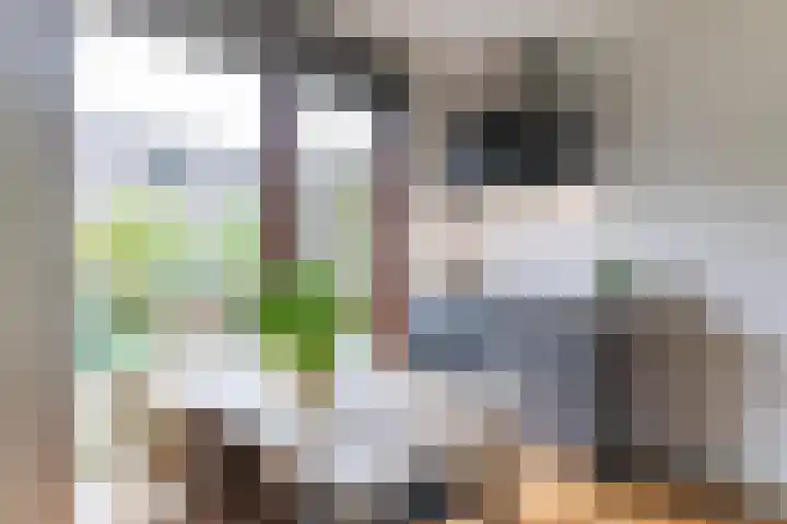 Spicastraat 174 Groningen thumbnail 12