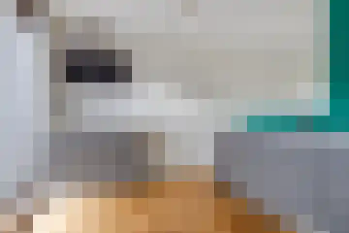 Spicastraat 174 Groningen thumbnail 13