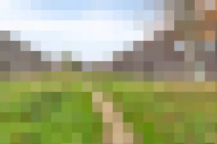 Spicastraat 174 Groningen thumbnail 35