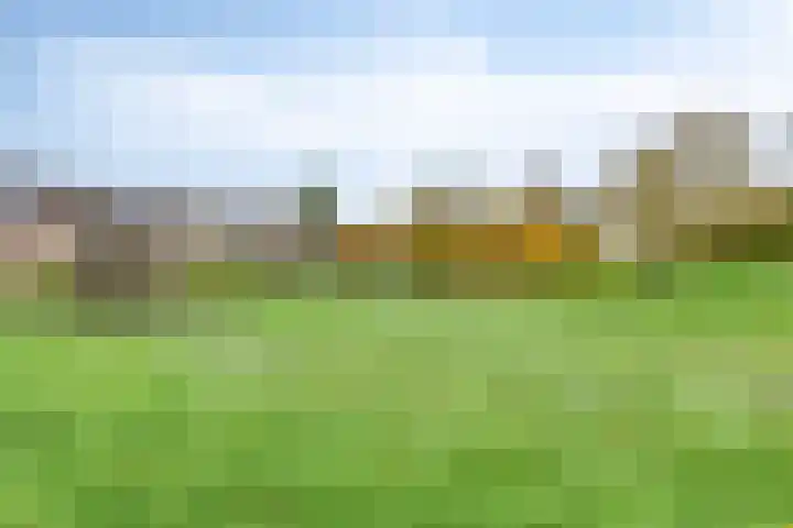 Spicastraat 174 Groningen thumbnail 36