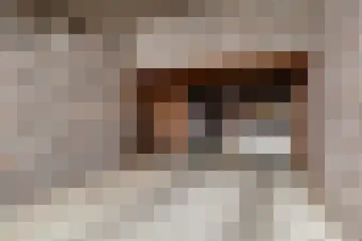 Spicastraat 174 Groningen thumbnail 8