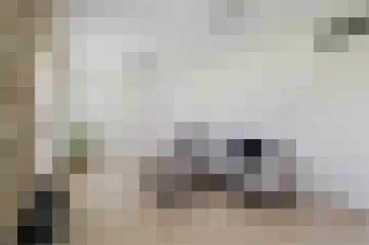 Spicastraat 176 Groningen thumbnail 23
