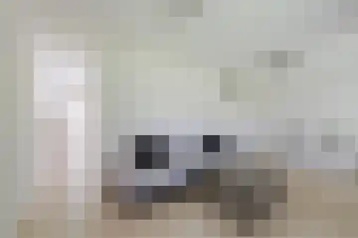 Spicastraat 176 Groningen thumbnail 25