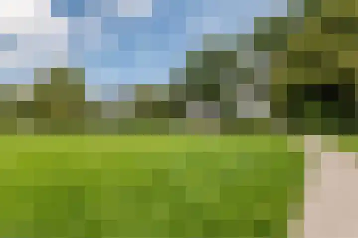 Spicastraat 176 Groningen thumbnail 38
