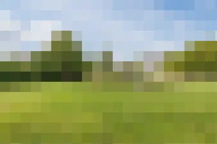 Spicastraat 176 Groningen thumbnail 39