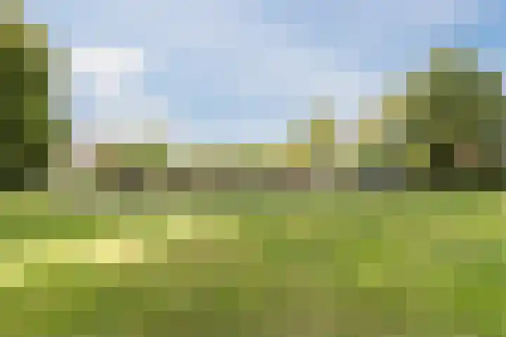 Spicastraat 176 Groningen thumbnail 40