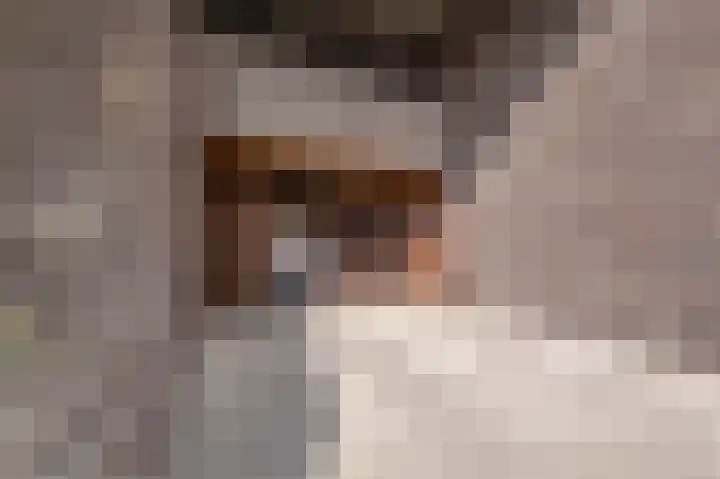 Spicastraat 176 Groningen thumbnail 8