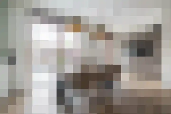 Spicastraat 182 a Groningen thumbnail 10