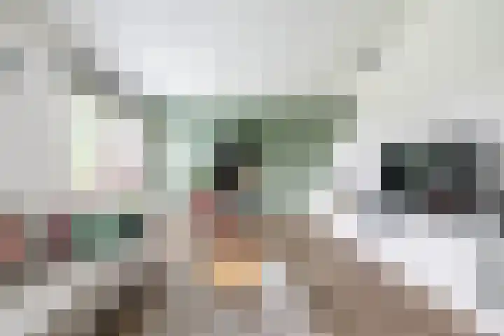 Spicastraat 182 a Groningen thumbnail 15