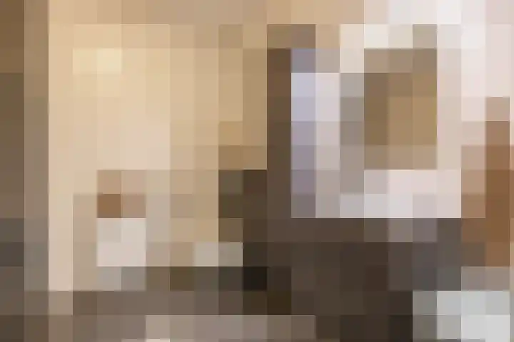 Spicastraat 182 a Groningen thumbnail 22