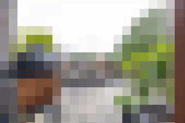 Spicastraat 182 a Groningen thumbnail 28