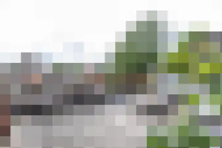 Spicastraat 182 a Groningen thumbnail 29