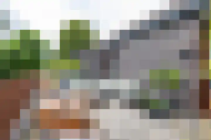 Spicastraat 182 a Groningen thumbnail 30