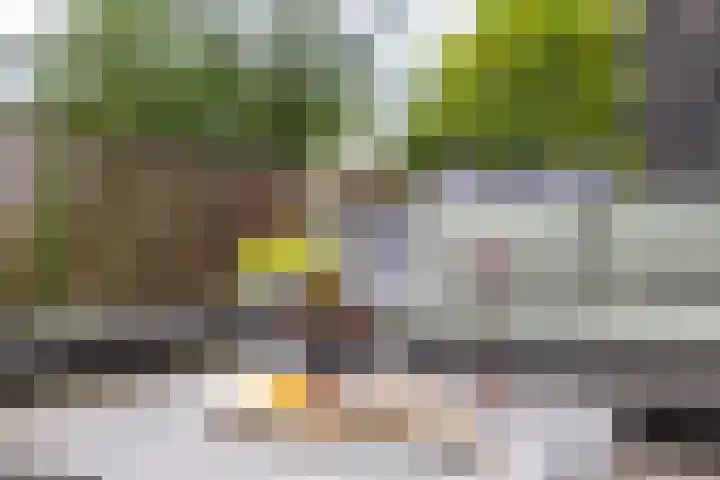 Spicastraat 182 a Groningen thumbnail 31