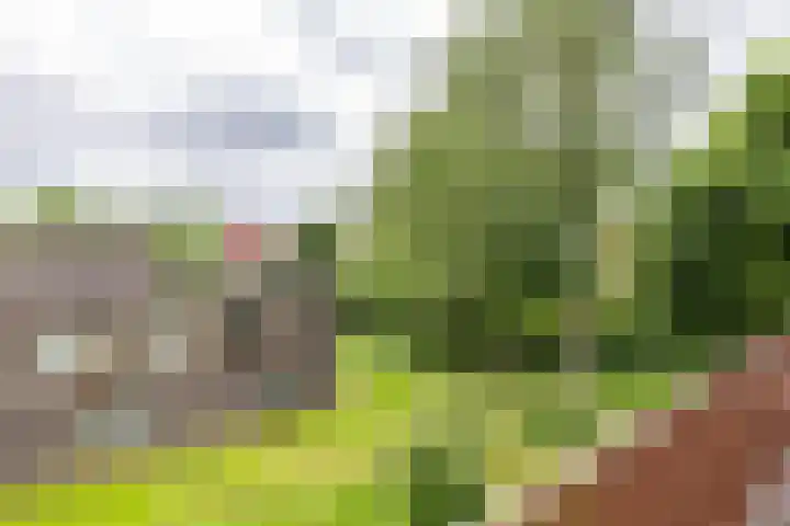 Spicastraat 182 a Groningen thumbnail 32