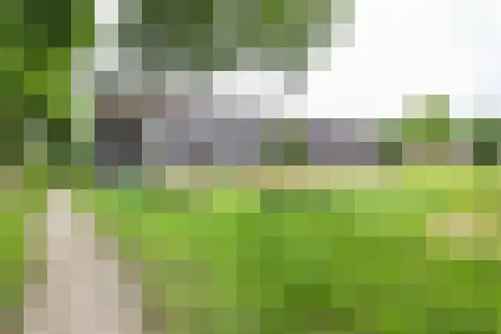 Spicastraat 182 a Groningen thumbnail 34