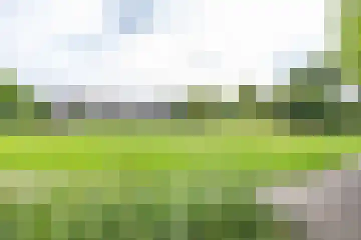 Spicastraat 182 a Groningen thumbnail 35
