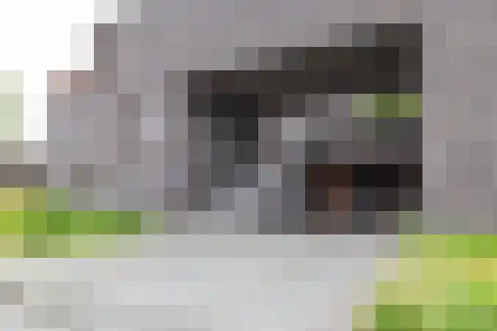 Spicastraat 182 a Groningen thumbnail 4