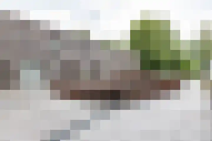 Spicastraat 182 a Groningen thumbnail 5
