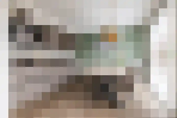 Spicastraat 182 a Groningen thumbnail 7