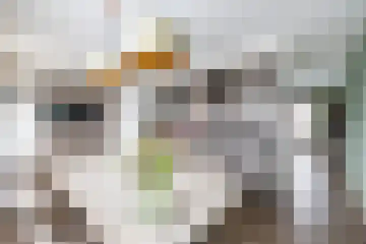 Spicastraat 182 a Groningen thumbnail 8