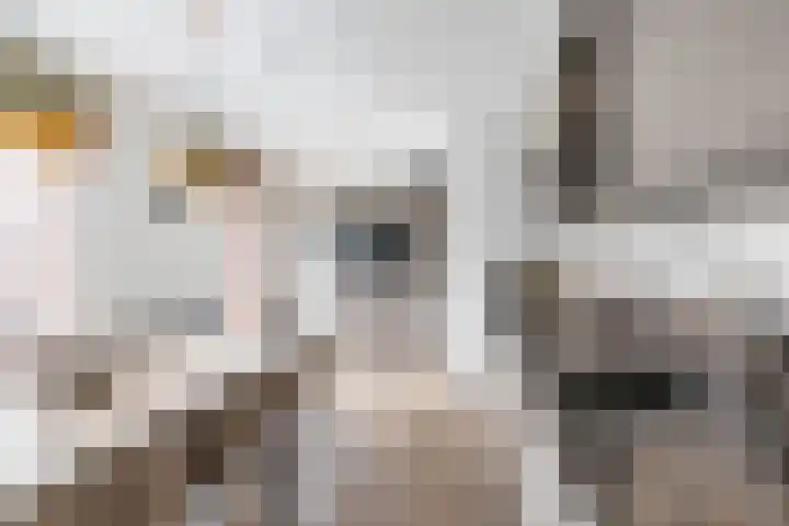 Spicastraat 182 a Groningen thumbnail 9
