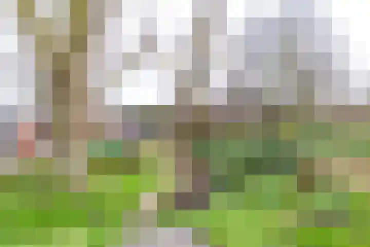 Spicastraat 190 Groningen thumbnail 10
