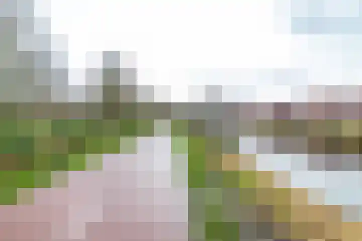 Spicastraat 190 Groningen thumbnail 11
