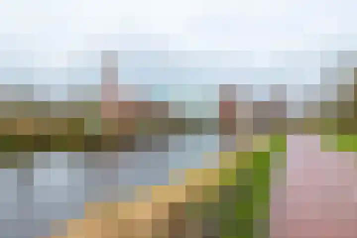 Spicastraat 190 Groningen thumbnail 12