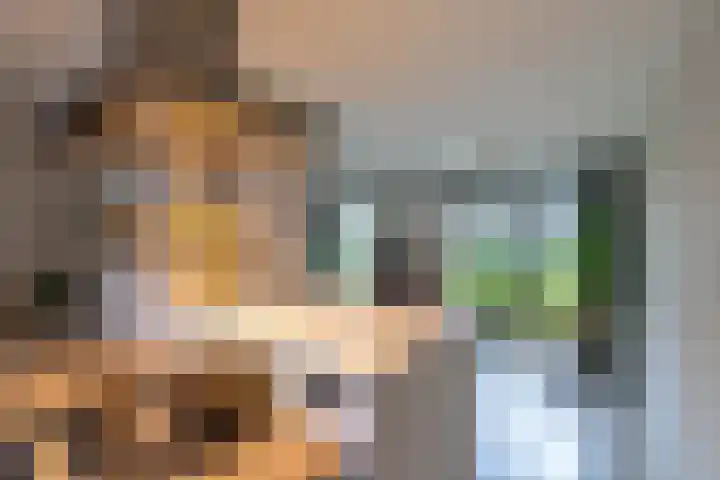Spicastraat 190 Groningen thumbnail 26