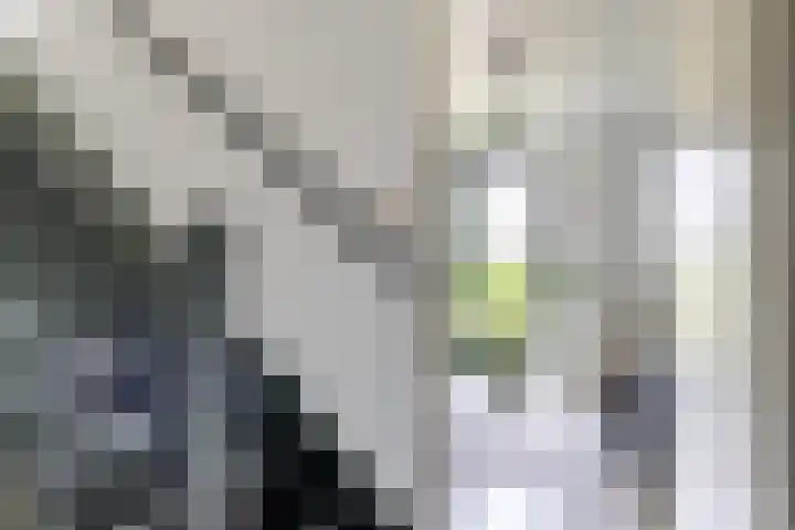 Spicastraat 190 Groningen thumbnail 35
