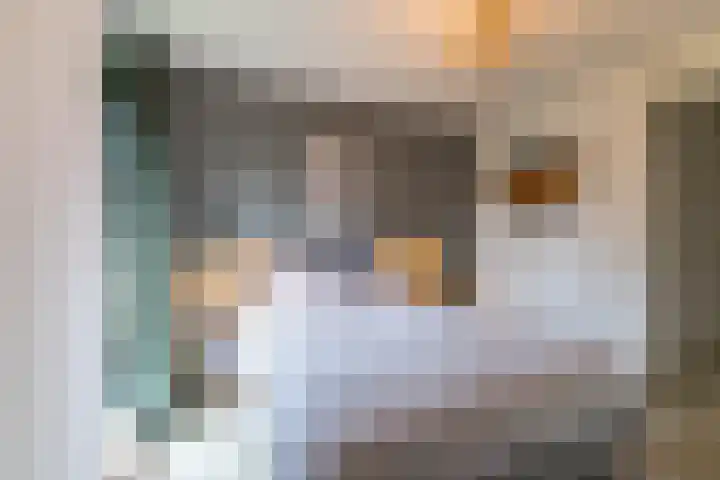Spicastraat 190 Groningen thumbnail 38