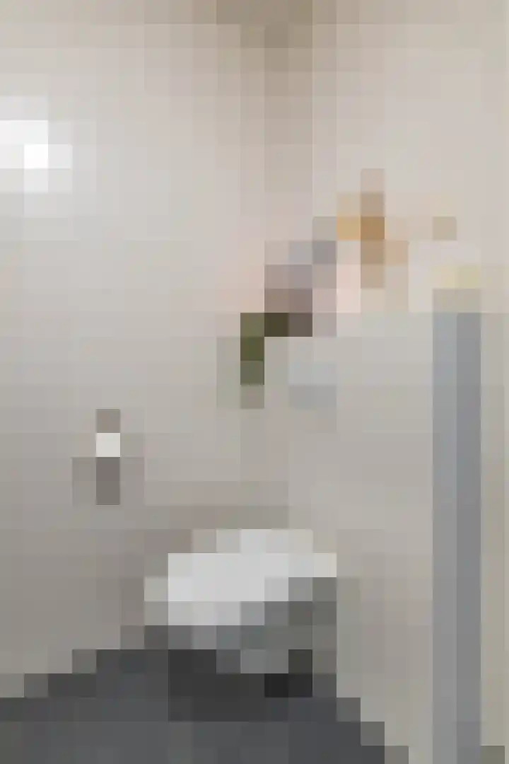 Spicastraat 190 Groningen thumbnail 41