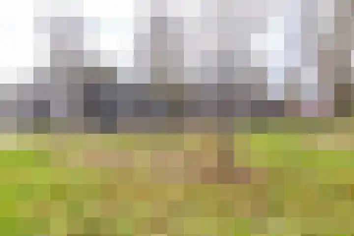 Spicastraat 190 Groningen thumbnail 9
