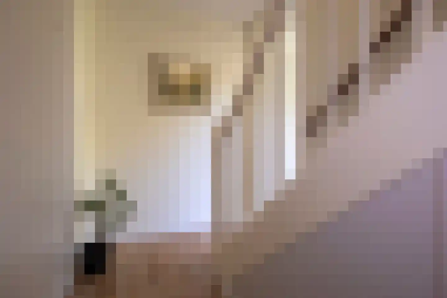 Spicastraat 192 a Groningen thumbnail 27