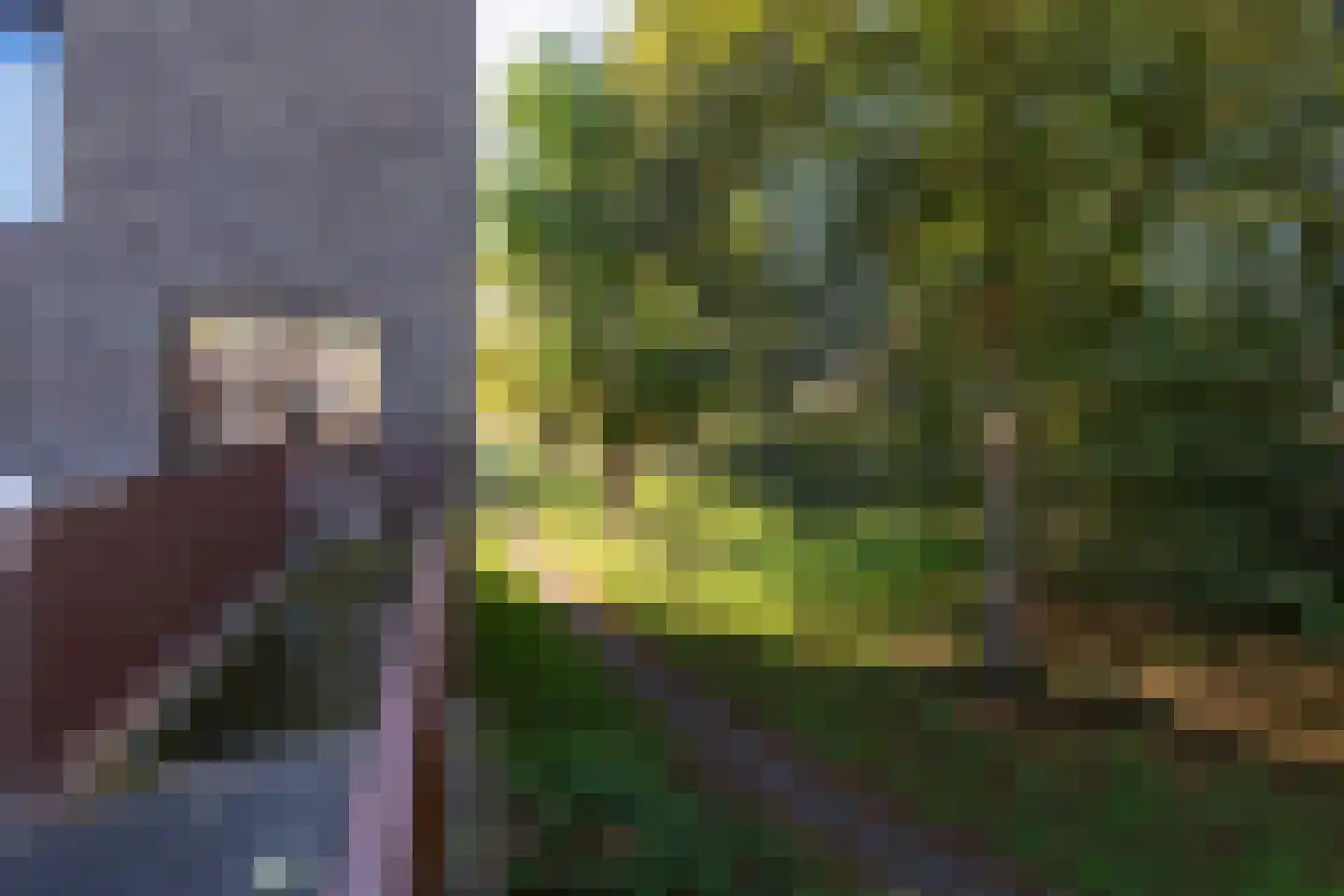Spicastraat 192 a Groningen thumbnail 31