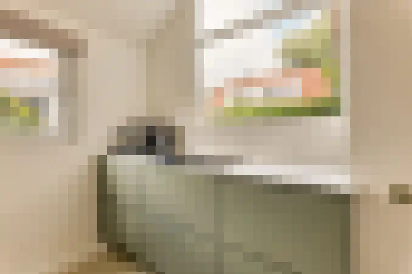 Spicastraat 3 Amsterdam thumbnail 14