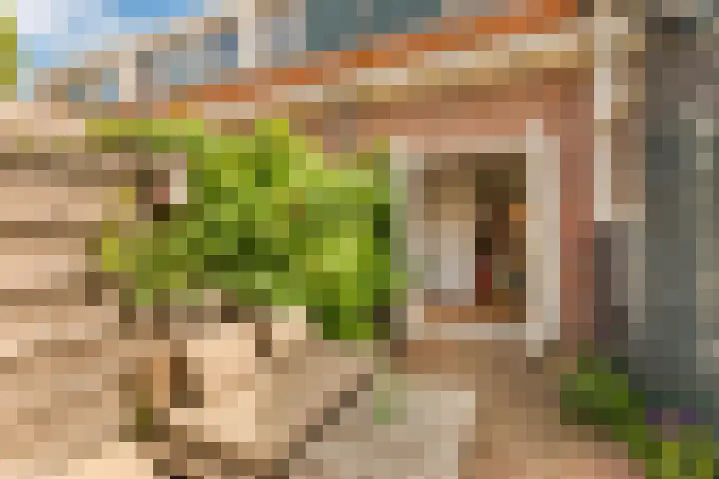 Spicastraat 3 Amsterdam thumbnail 18
